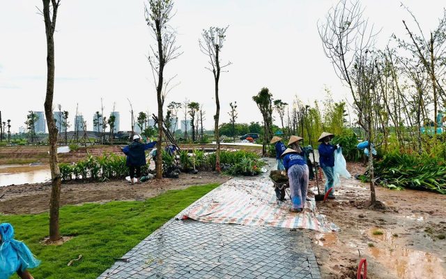 Cong truong alluvia ngay mua v2