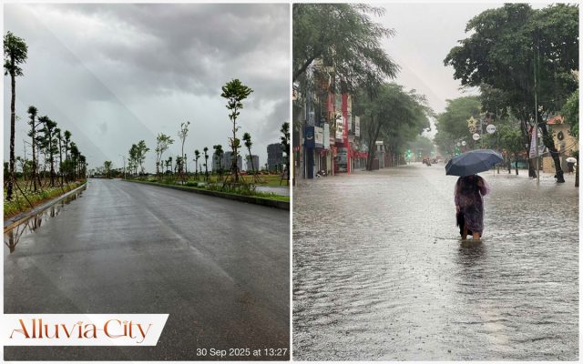 Alluvia City chong ngap