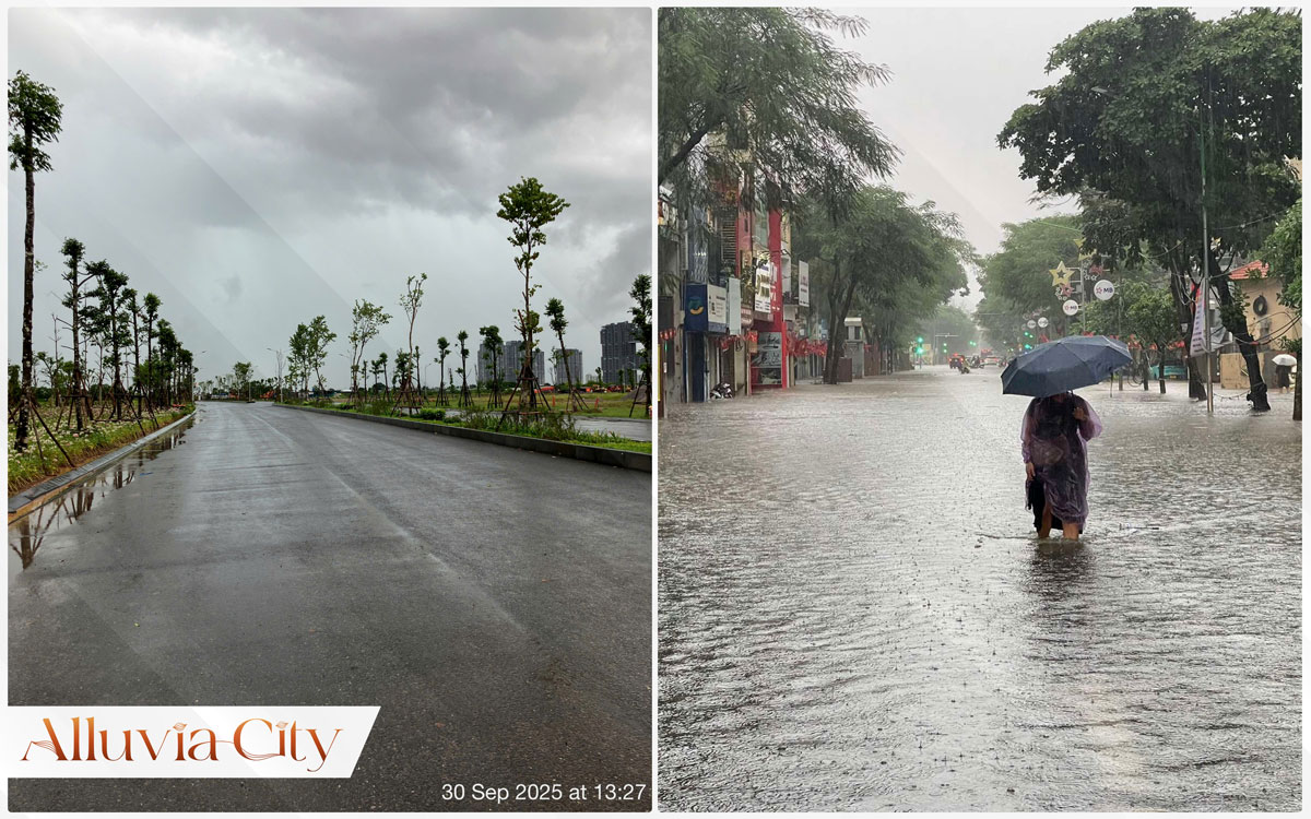Chống ngập Alluvia City